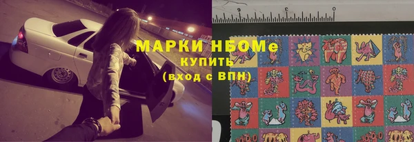гашик Вяземский
