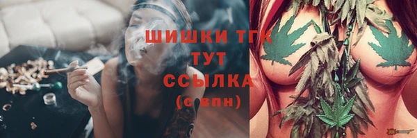 бошки Вязьма