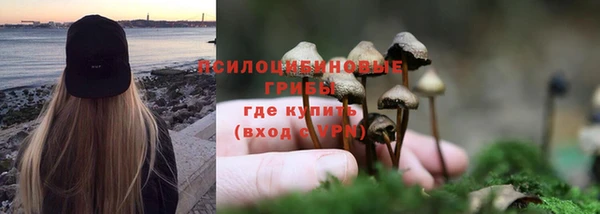 бошки Вязьма