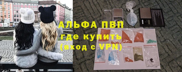 гашик Вяземский