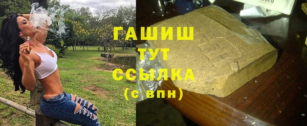 гашик Вяземский