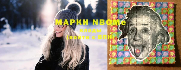 гашик Вяземский