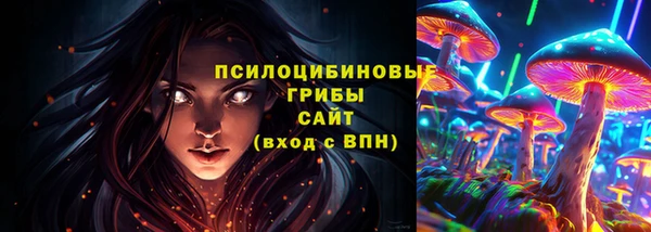 гашик Вяземский