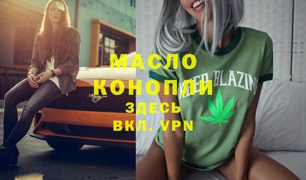 гашик Вяземский