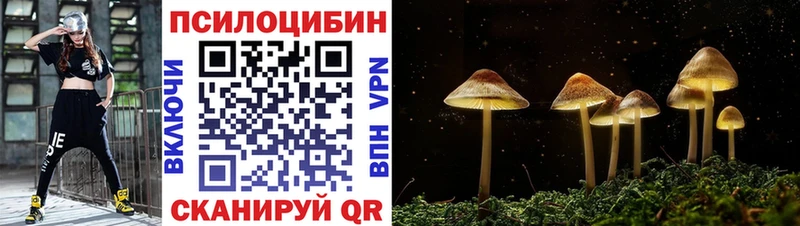 Псилоцибиновые грибы Cubensis  МЕГА tor  Лукоянов  купить  сайты 